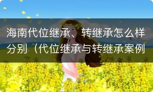 海南代位继承、转继承怎么样分别（代位继承与转继承案例）