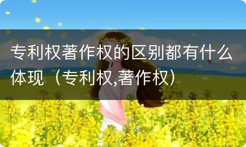 专利权著作权的区别都有什么体现（专利权,著作权）