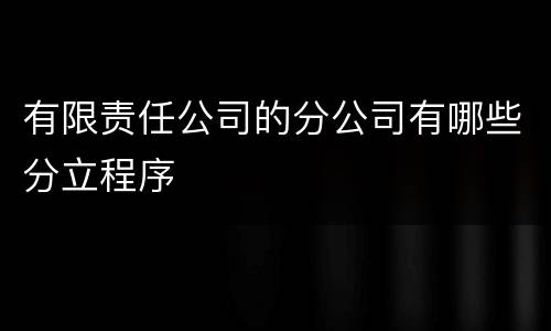 有限责任公司的分公司有哪些分立程序