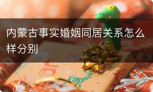 内蒙古事实婚姻同居关系怎么样分别