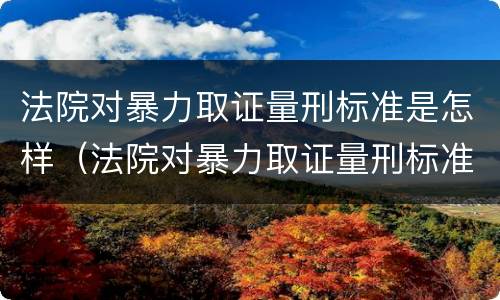 法院对暴力取证量刑标准是怎样（法院对暴力取证量刑标准是怎样定的）