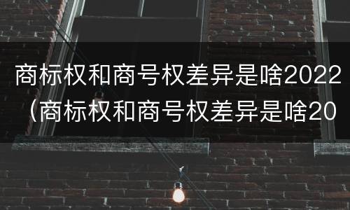 商标权和商号权差异是啥2022（商标权和商号权差异是啥2022年的）