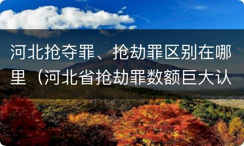 河北抢夺罪、抢劫罪区别在哪里（河北省抢劫罪数额巨大认定标准）