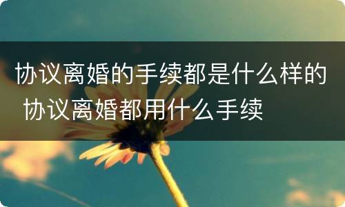 协议离婚的手续都是什么样的 协议离婚都用什么手续