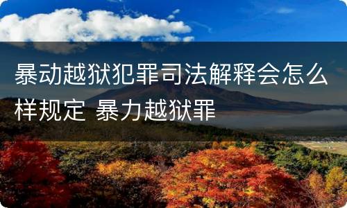 暴动越狱犯罪司法解释会怎么样规定 暴力越狱罪