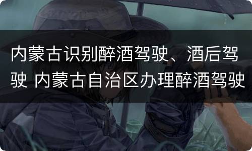 内蒙古识别醉酒驾驶、酒后驾驶 内蒙古自治区办理醉酒驾驶