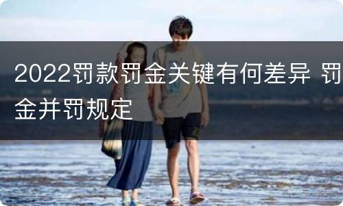 2022罚款罚金关键有何差异 罚金并罚规定