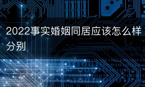 2022事实婚姻同居应该怎么样分别