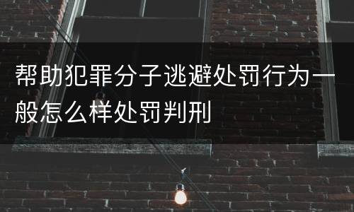 帮助犯罪分子逃避处罚行为一般怎么样处罚判刑