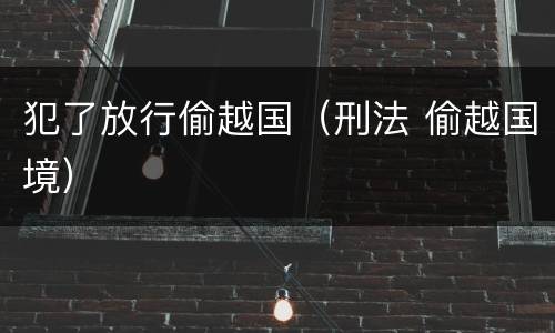 犯了放行偷越国（刑法 偷越国境）