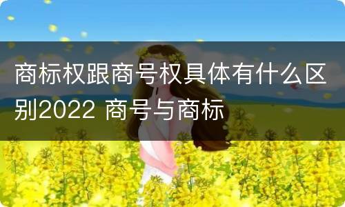 商标权跟商号权具体有什么区别2022 商号与商标