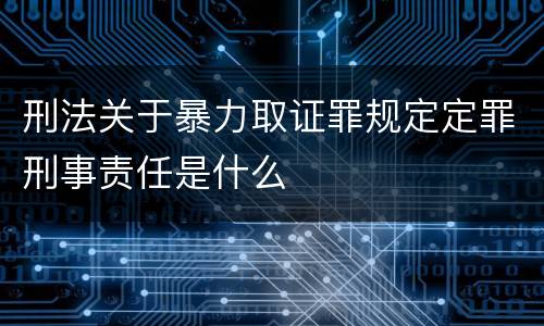 刑法关于暴力取证罪规定定罪刑事责任是什么
