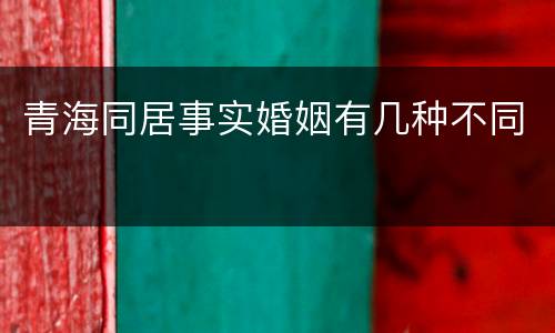 青海同居事实婚姻有几种不同