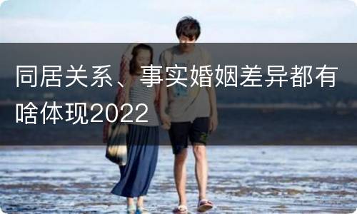 同居关系、事实婚姻差异都有啥体现2022
