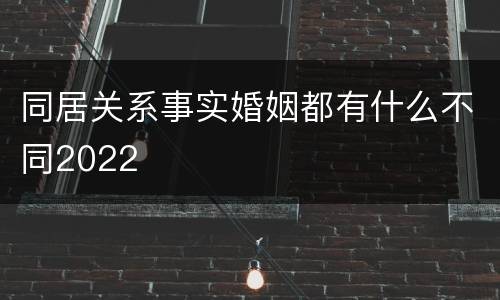 同居关系事实婚姻都有什么不同2022