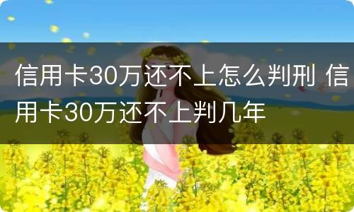 信用卡30万还不上怎么判刑 信用卡30万还不上判几年