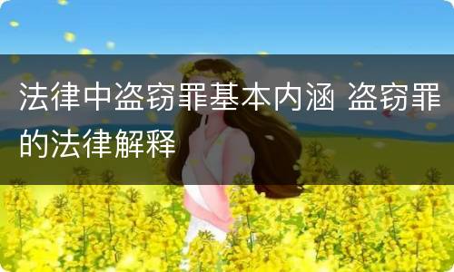法律中盗窃罪基本内涵 盗窃罪的法律解释