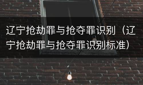 辽宁抢劫罪与抢夺罪识别（辽宁抢劫罪与抢夺罪识别标准）