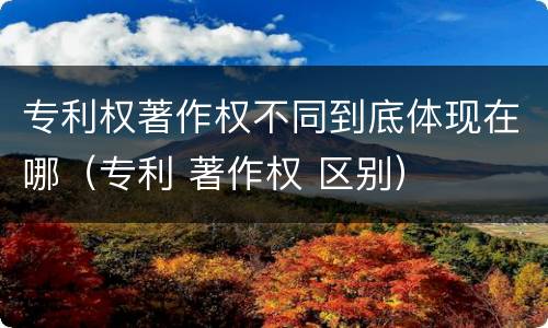专利权著作权不同到底体现在哪（专利 著作权 区别）