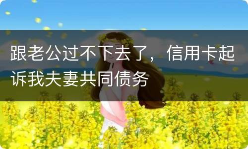 跟老公过不下去了，信用卡起诉我夫妻共同债务