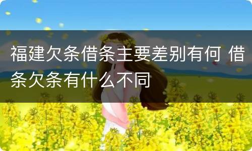 福建欠条借条主要差别有何 借条欠条有什么不同