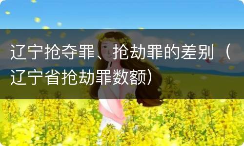 辽宁抢夺罪、抢劫罪的差别（辽宁省抢劫罪数额）