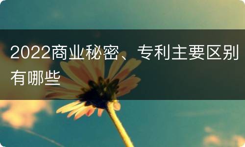 2022商业秘密、专利主要区别有哪些