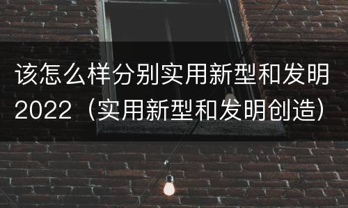该怎么样分别实用新型和发明2022（实用新型和发明创造）