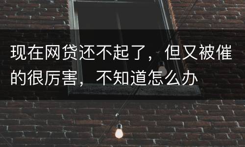 现在网贷还不起了，但又被催的很厉害，不知道怎么办