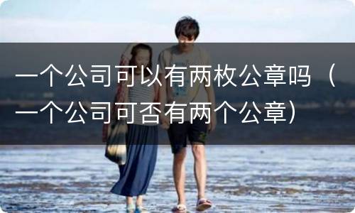 一个公司可以有两枚公章吗（一个公司可否有两个公章）
