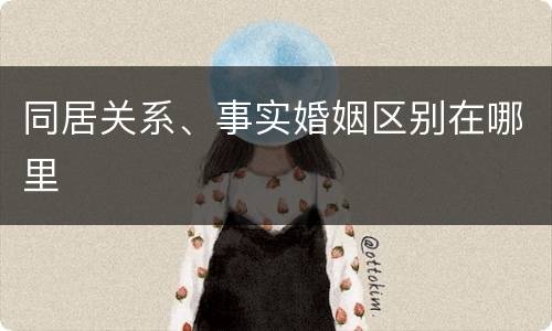 同居关系、事实婚姻区别在哪里