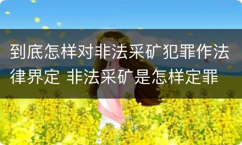到底怎样对非法采矿犯罪作法律界定 非法采矿是怎样定罪