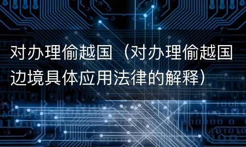 对办理偷越国（对办理偷越国边境具体应用法律的解释）