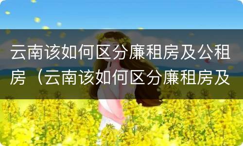 云南该如何区分廉租房及公租房（云南该如何区分廉租房及公租房的区别）