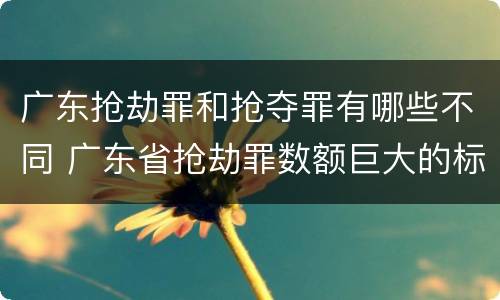 广东抢劫罪和抢夺罪有哪些不同 广东省抢劫罪数额巨大的标准