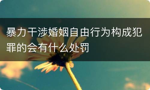 暴力干涉婚姻自由行为构成犯罪的会有什么处罚