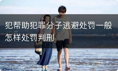 犯帮助犯罪分子逃避处罚一般怎样处罚判刑