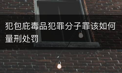 犯包庇毒品犯罪分子罪该如何量刑处罚