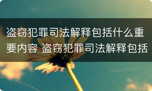 盗窃犯罪司法解释包括什么重要内容 盗窃犯罪司法解释包括什么重要内容