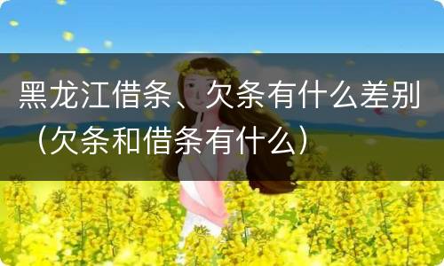 黑龙江借条、欠条有什么差别（欠条和借条有什么）