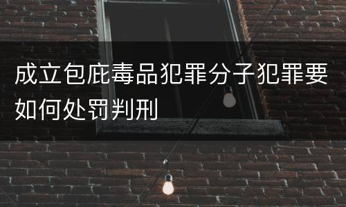 成立包庇毒品犯罪分子犯罪要如何处罚判刑