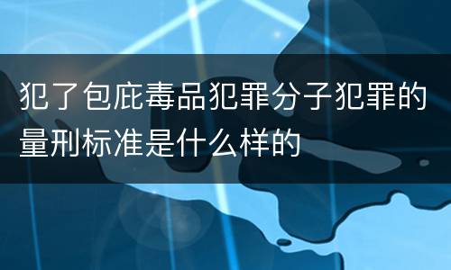 犯了包庇毒品犯罪分子犯罪的量刑标准是什么样的