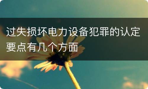 过失损坏电力设备犯罪的认定要点有几个方面