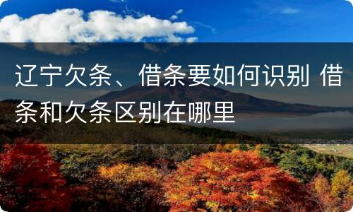 辽宁欠条、借条要如何识别 借条和欠条区别在哪里
