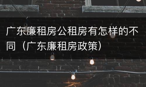广东廉租房公租房有怎样的不同（广东廉租房政策）