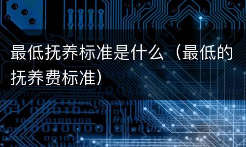 最低抚养标准是什么（最低的抚养费标准）