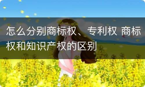 怎么分别商标权、专利权 商标权和知识产权的区别