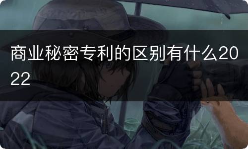 商业秘密专利的区别有什么2022