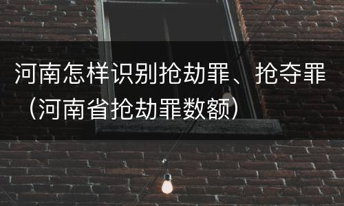 河南怎样识别抢劫罪、抢夺罪（河南省抢劫罪数额）