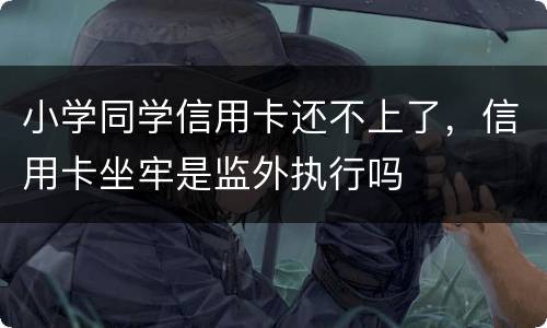 小学同学信用卡还不上了，信用卡坐牢是监外执行吗